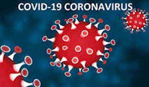 इंदौर जिले में कोरोना के 439 नये मामले